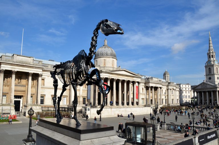 Gift horse