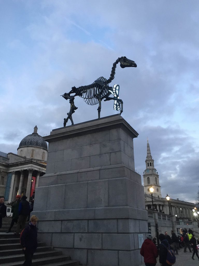 Gift horse